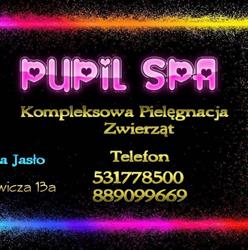 Przychodnia Rejonowa Nr 1 - ul Mickiewicza 4, Jasło godziny otwarcia