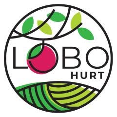 "Lobo-Hurt", Leszno godziny otwarcia