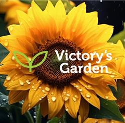 Victory Garden ATM SC, Kąpino godziny otwarcia