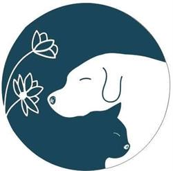Weterynarz przy Magnolii, Wrocław godziny otwarcia