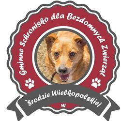 Gminne Schronisko Dla Bezdomnych Zwierząt w Środzie Wielkopolskiej, Środa Wielkopolska godziny otwarcia