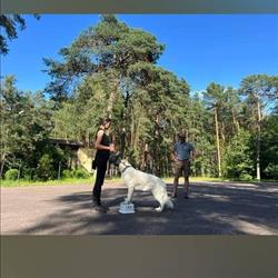 Szkoła Psa - hotel Marta Kochanowska, Bedoń Przykościelny godziny otwarcia