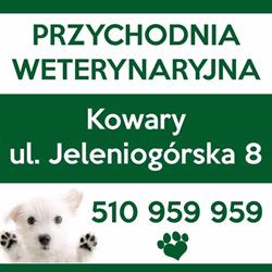 Lecznica dla zwierząt, Kowary godziny otwarcia