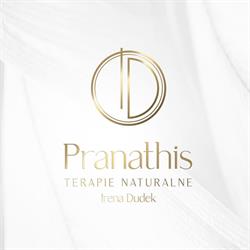 Pranathis Terapie Naturalne Irena Dudek, Ruda Śląska godziny otwarcia