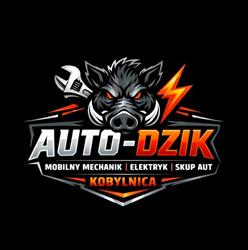 Auto-Dzik Kobylnica - Mobilny Mechanik i Skup Aut, godziny otwarcia