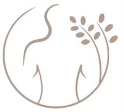 Gabinet Naturoterapii (dyplomowani Naturopaci Marzena i Marek Zaskórscy), Gorzów Wielkopolski godziny otwarcia