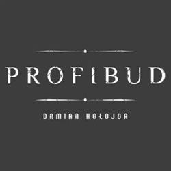 Damian Hołojda Firma Handlowo-Usługowa Profibud, Goczałkowice-Zdrój godziny otwarcia