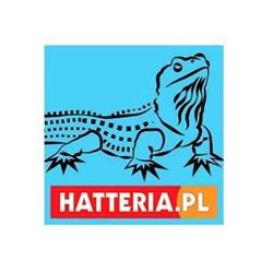 Hatteria.pl - Księgarnia i Antykwariat, Kraków godziny otwarcia