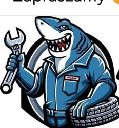 SHARK CAR SERVICE, Marki godziny otwarcia