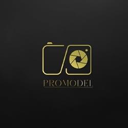 Agencja Reklamowa Promodel, Poznań godziny otwarcia